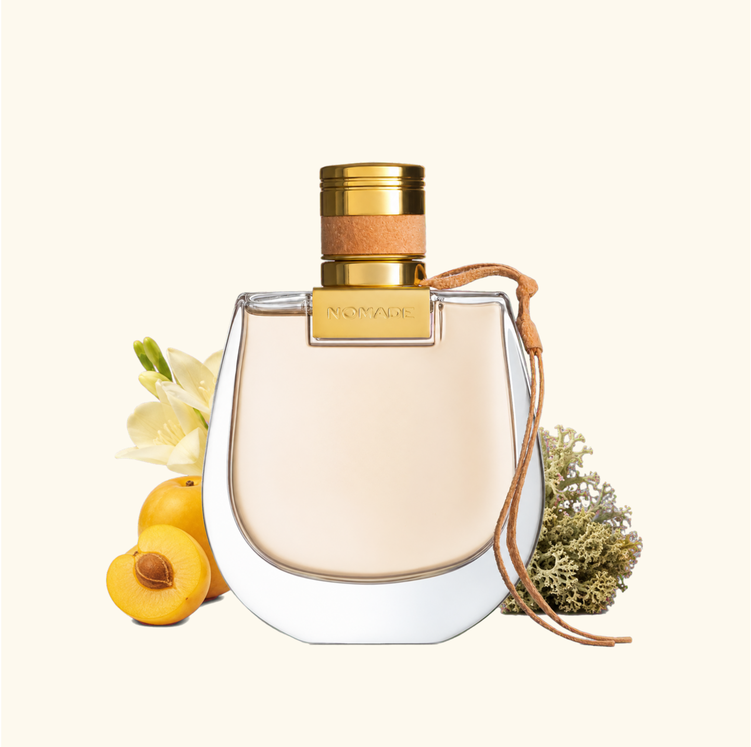 عطر ادکلن کلوهه نوماد