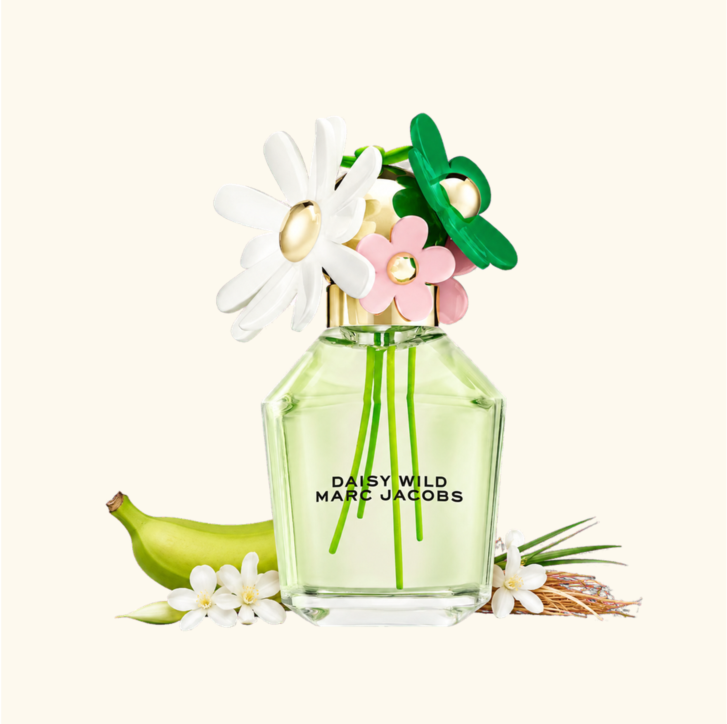 عطر ادکلن مارک جیکوبز دیزی وایلد